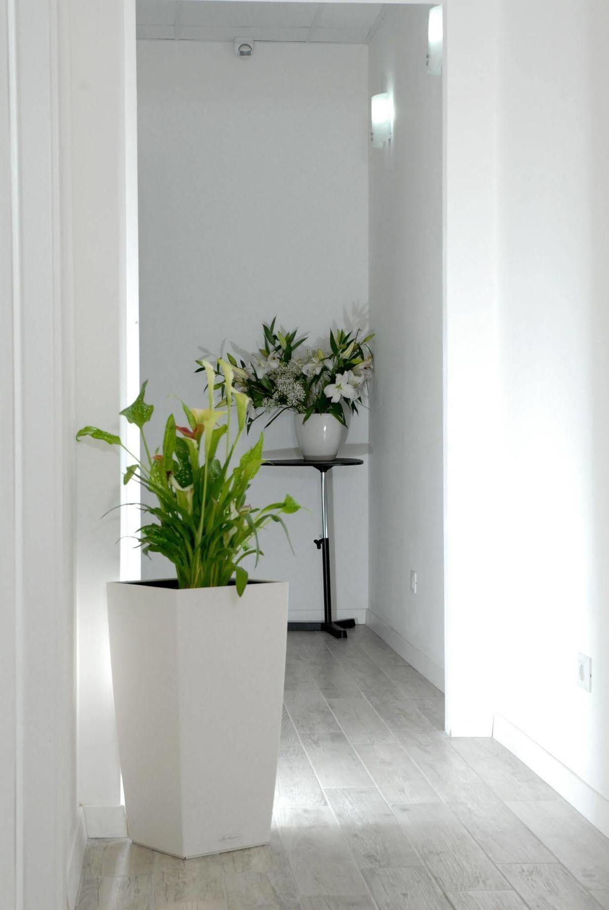 Gardenia Suite โรม ภายนอก รูปภาพ
