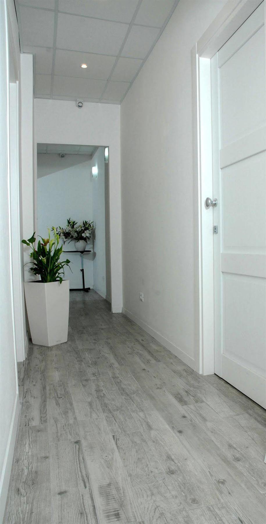 Gardenia Suite โรม ภายนอก รูปภาพ